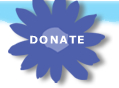 Donate to Hope in Bloom